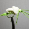 Stealth Bomber White and Chartreuse
