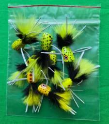 BeetleBug Assortment with eight BeetleBug poppers